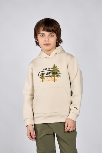 Худи W352416705-1 серый Anta