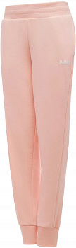 Брюки PUMA  ESSENTIALS SWEAT PANTS CLOSED 84720407, powder