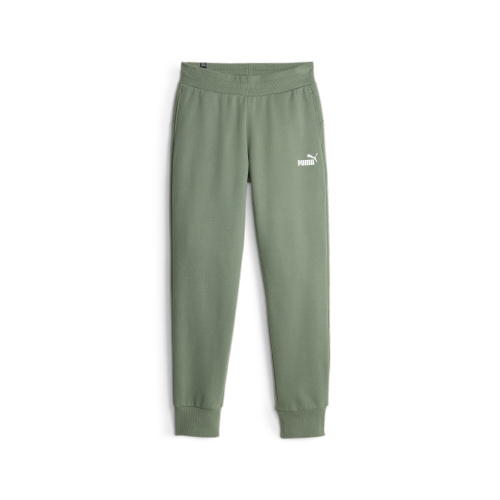 Брюки PUMA ESS Sweatpants 58684148, зеленый