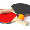Настольный теннис Настольный теннис