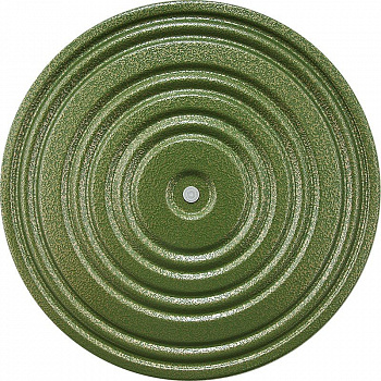 Диск здоровья MR-D-03, green, black Диск здоровья MR-D-03, green, black