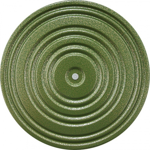Диск здоровья MR-D-03, green, black Диск здоровья MR-D-03, green, black