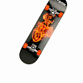 Скейтборды Скейтборды