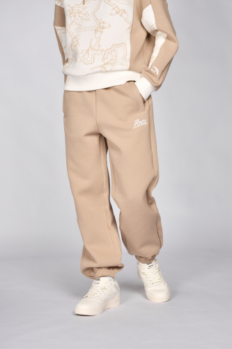 Брюки ANTA 862418309-1 