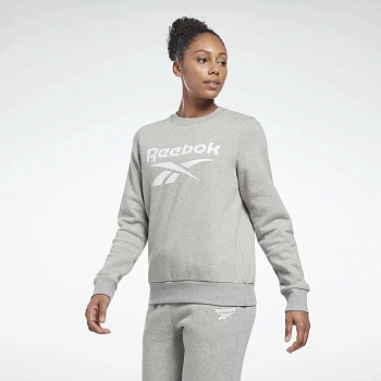 Свитшот Reebok Identity Big Logo 100012588/H54773 